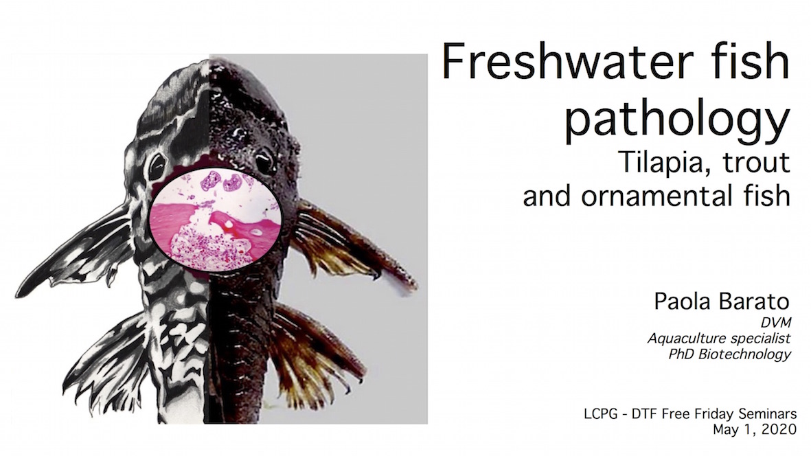 DTF - LCPG FRESHWATER FISH PATHOLOGY
